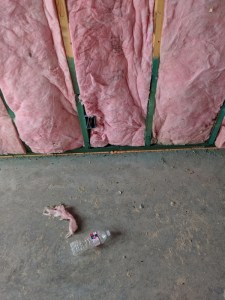 Maker:S,Date:2017-8-24,Ver:6,Lens:Kan03,Act:Lar02,E-Y